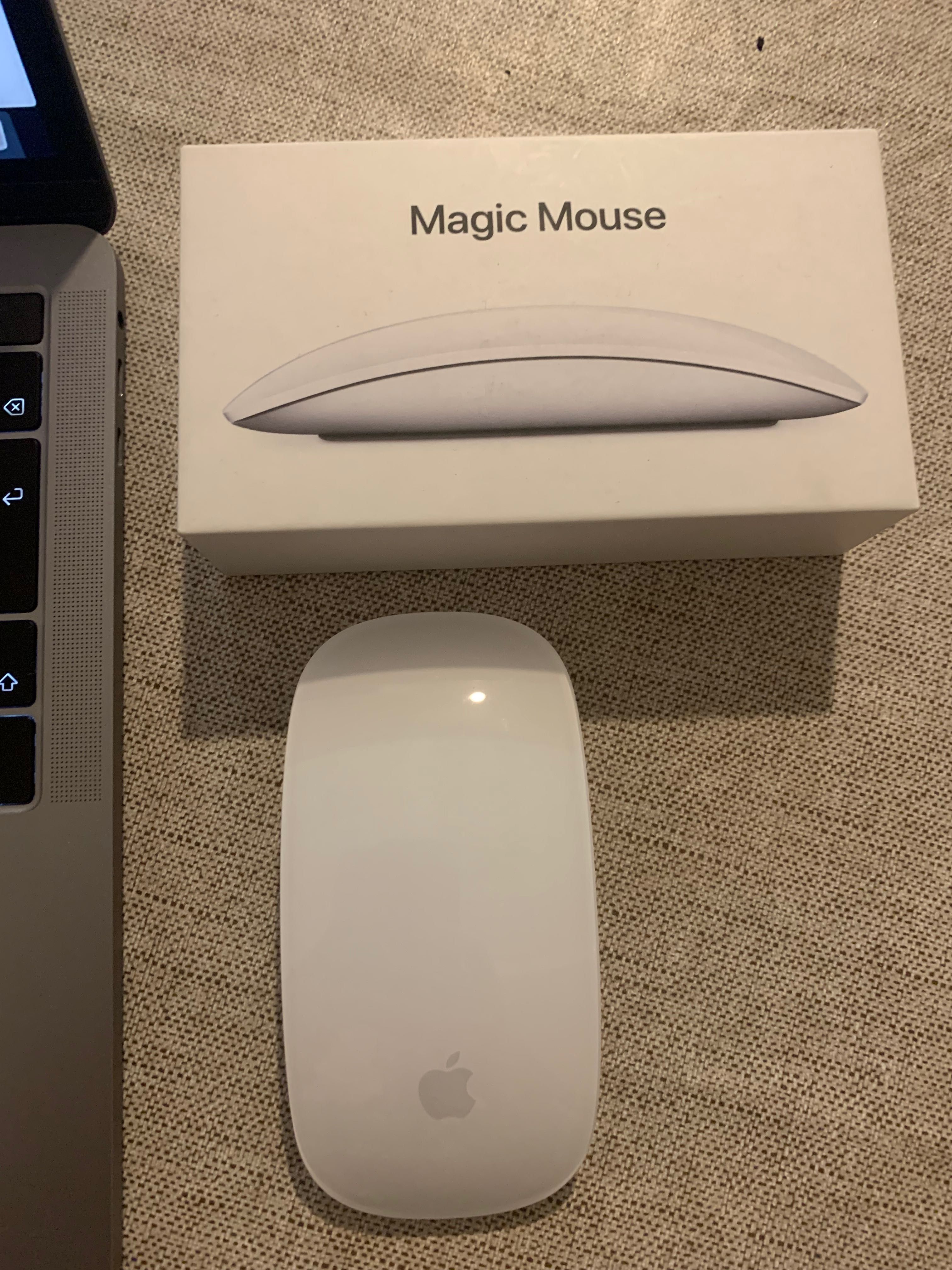 MacBook Pro macOS Catalina + Magic Mouse 2 + Mala Thule