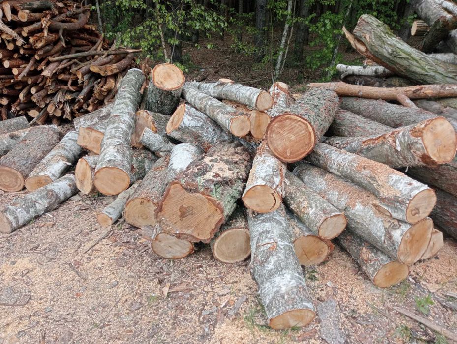 Sprzedam drewno opałowe i kominkowe oraz inne usługi.