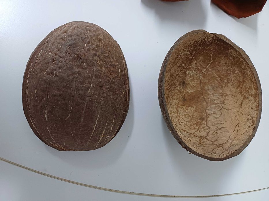 Acessórios para terrário de repteis