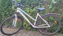 Rower Kellys clea 30