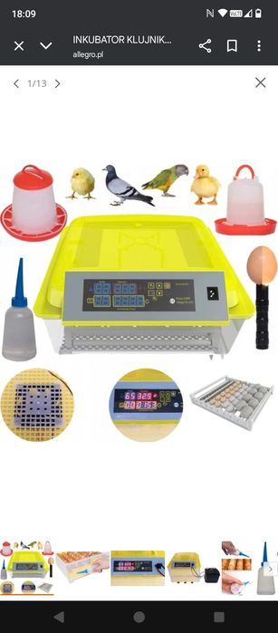 Inkubator do jajek
