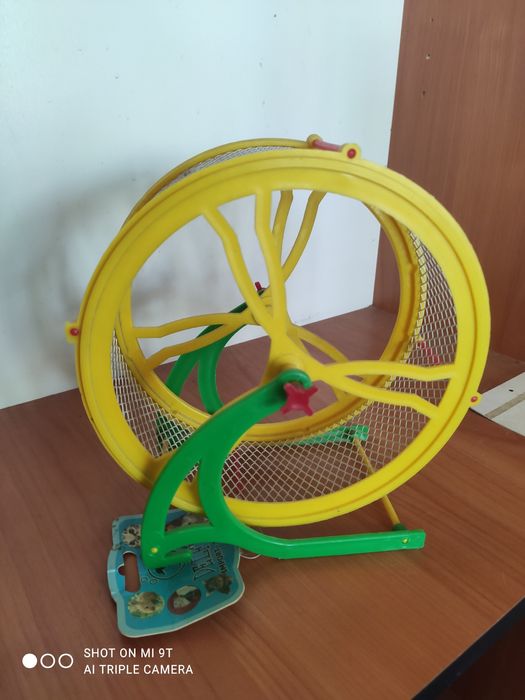 Kołowrotek dla gryzonia