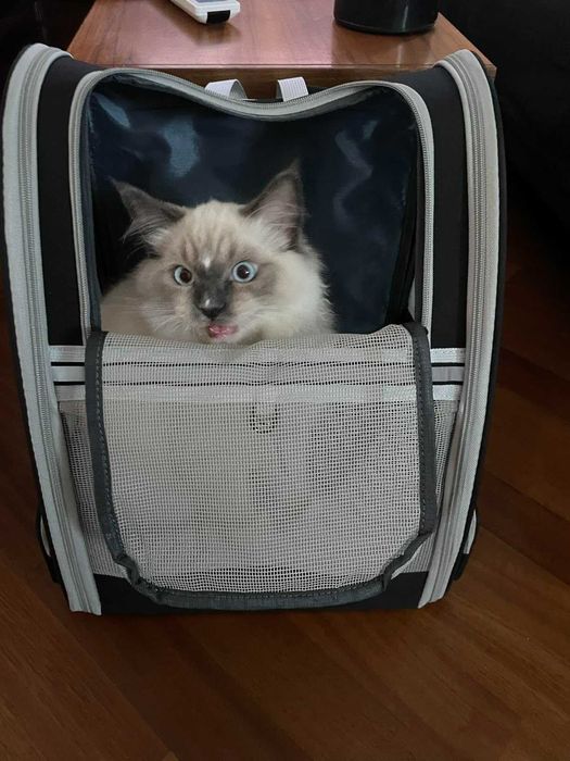 Plecak torba transportowa transporter dla psa kota zwierząt nosidełko