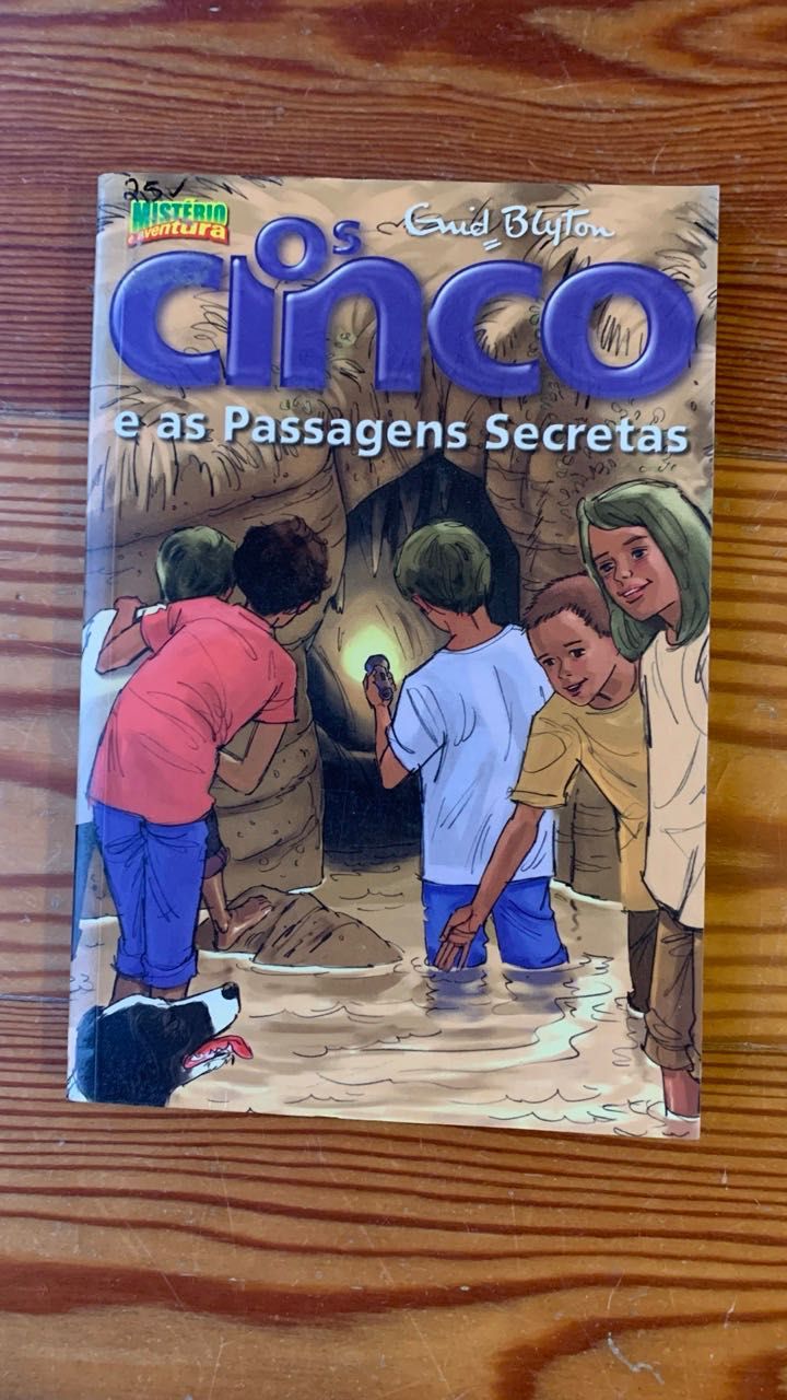 Os Cinco e as Passagens Secretas