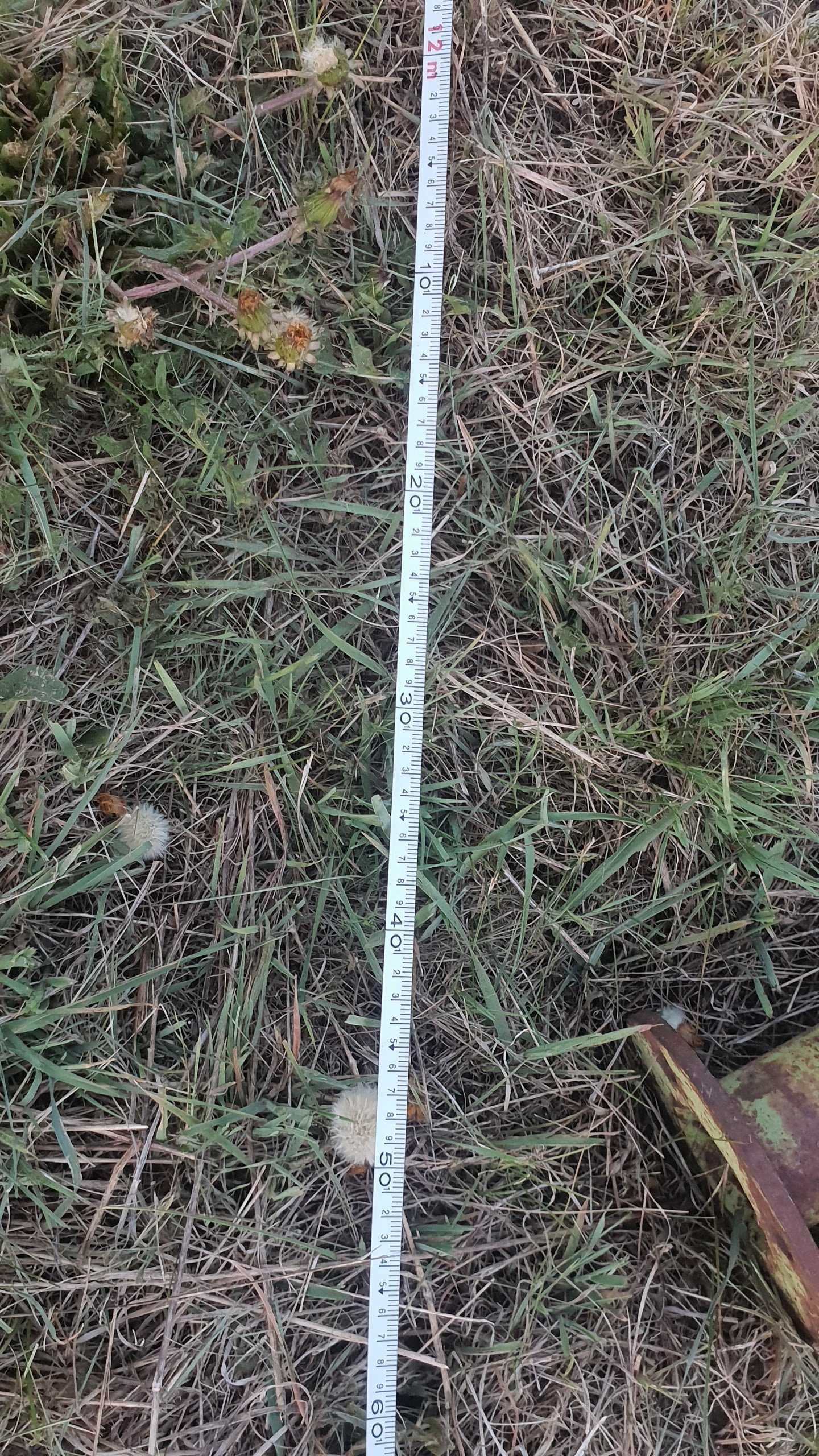 konstrukcja hali łukowej