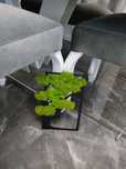 Obraz  Bonsai z  mchem 30cm
