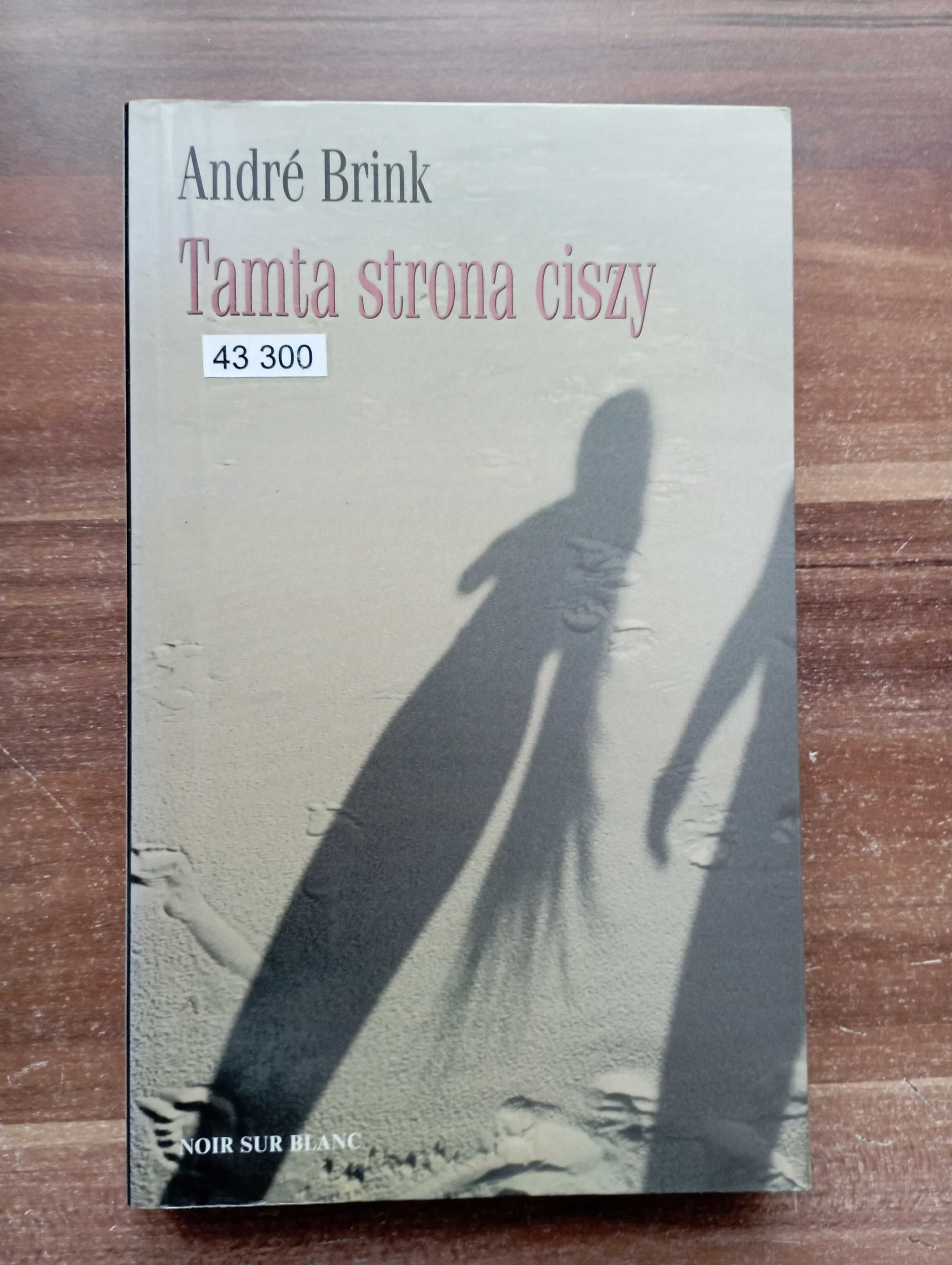 Tamta strona ciszy Andre Brink