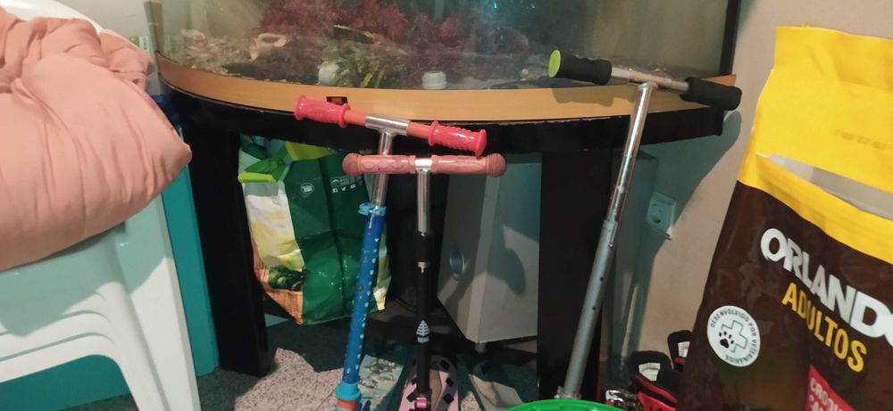 Aquario para peixes