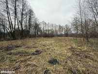 11 000m2 działka budowlana bezpośrednio