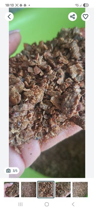 Propoli- kit pszczeli