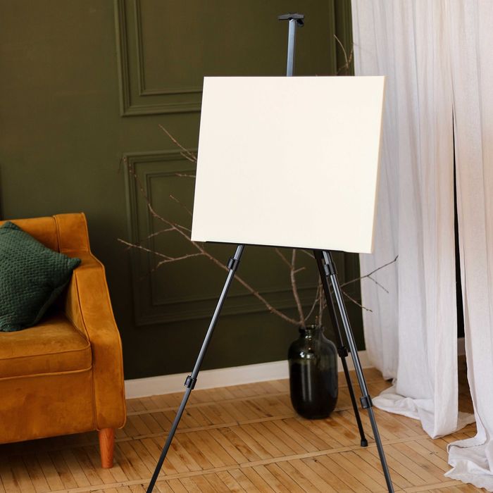 Мольберт ОПТ для рисования лира напольный настольный тренога студийный