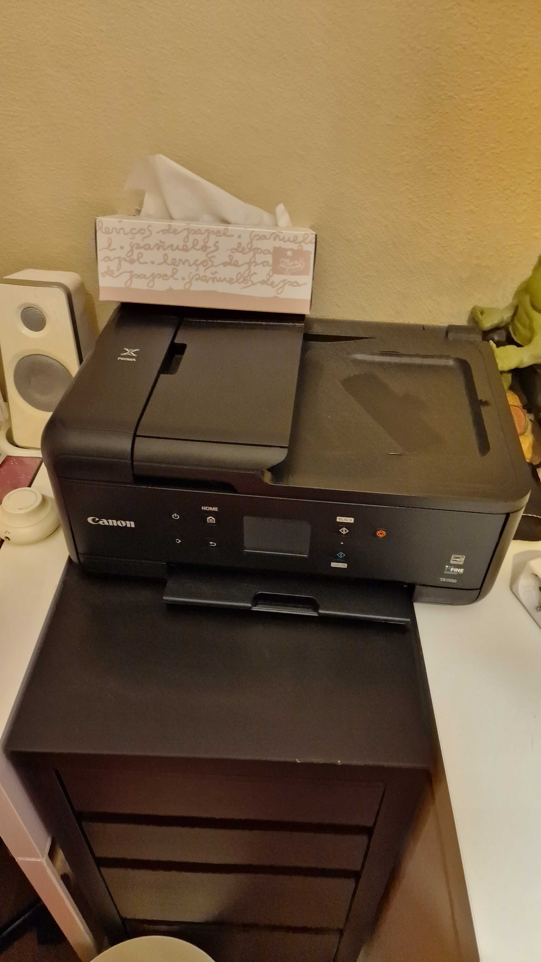 Dois computadores hpe uma impressora Canon