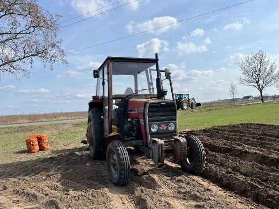 Ursus MF 255 jak 3512