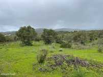 Terreno Rustico em torre Apra- Loule