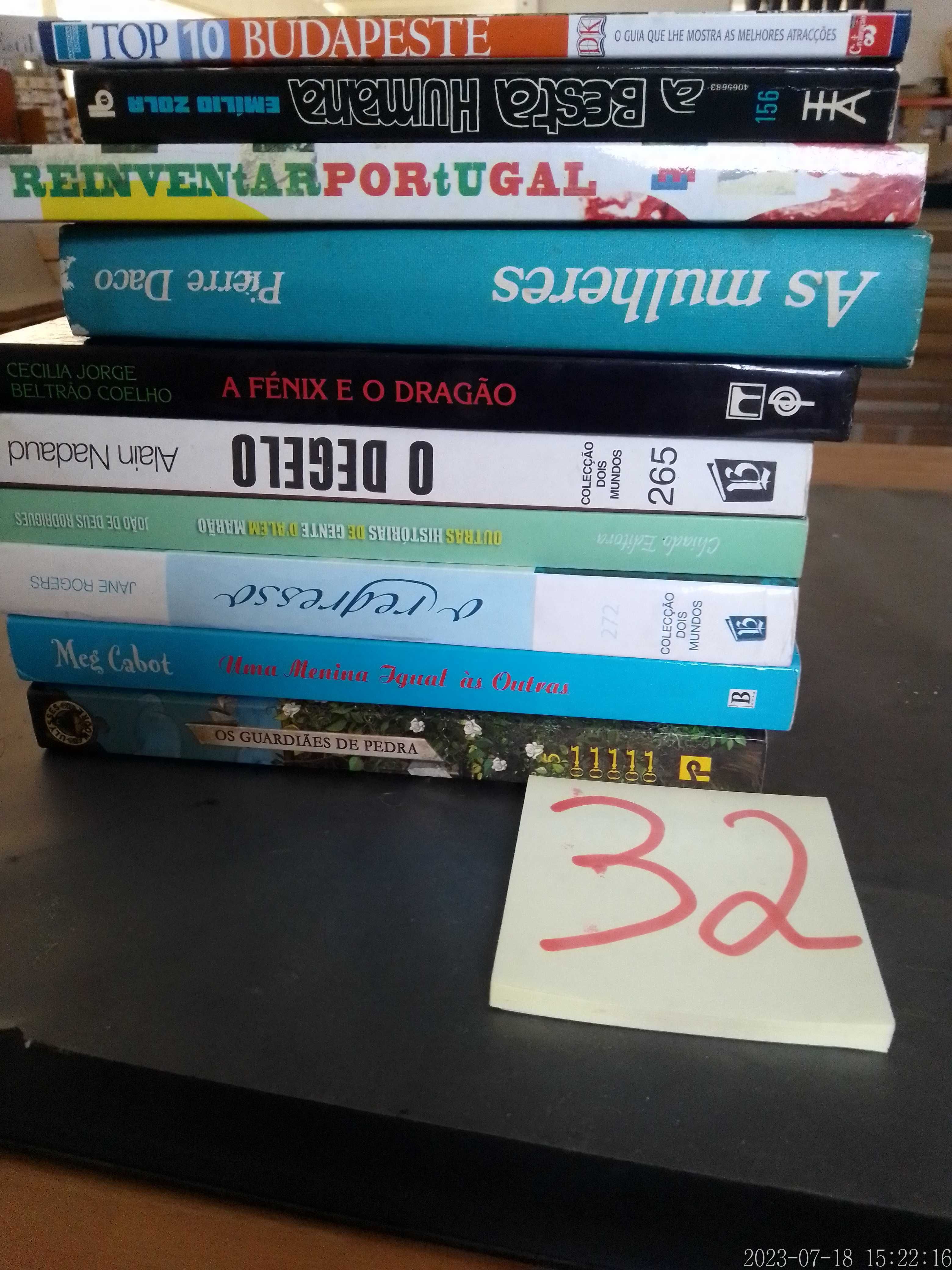 Lote 32 - LIVROS - Vendidos INDIVIDUALMENTE a Vários Preços