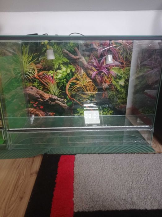 Terrarium z wentylacją