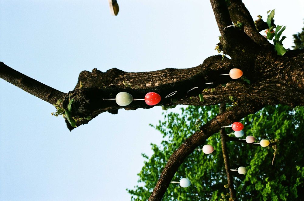 Lustrzanka analogowa Nikon f50 z obiektywem zoom