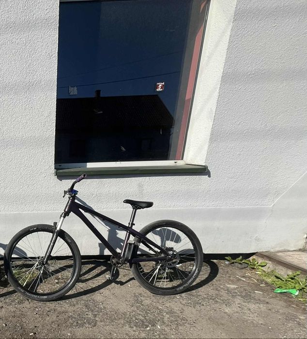 Rower Kellys whip 10 (dirt)