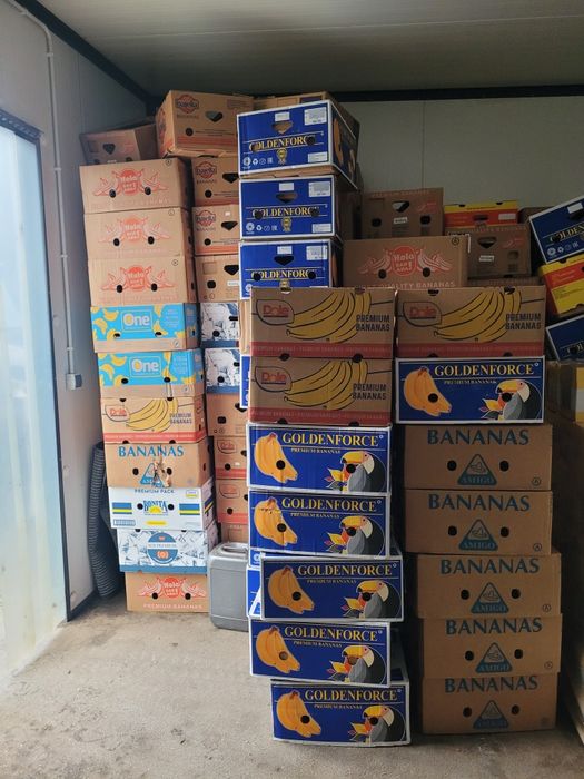 Kartony po bananach duże ilości bananówki