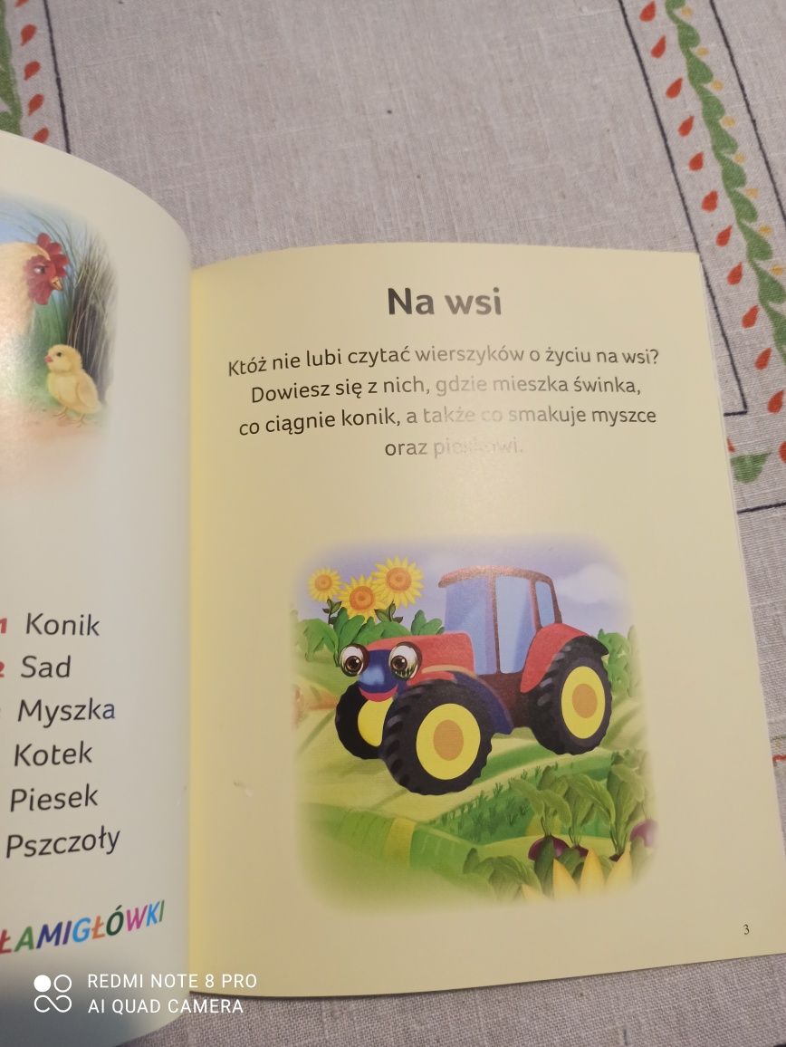 Książka dziecięca ,Na wsi"