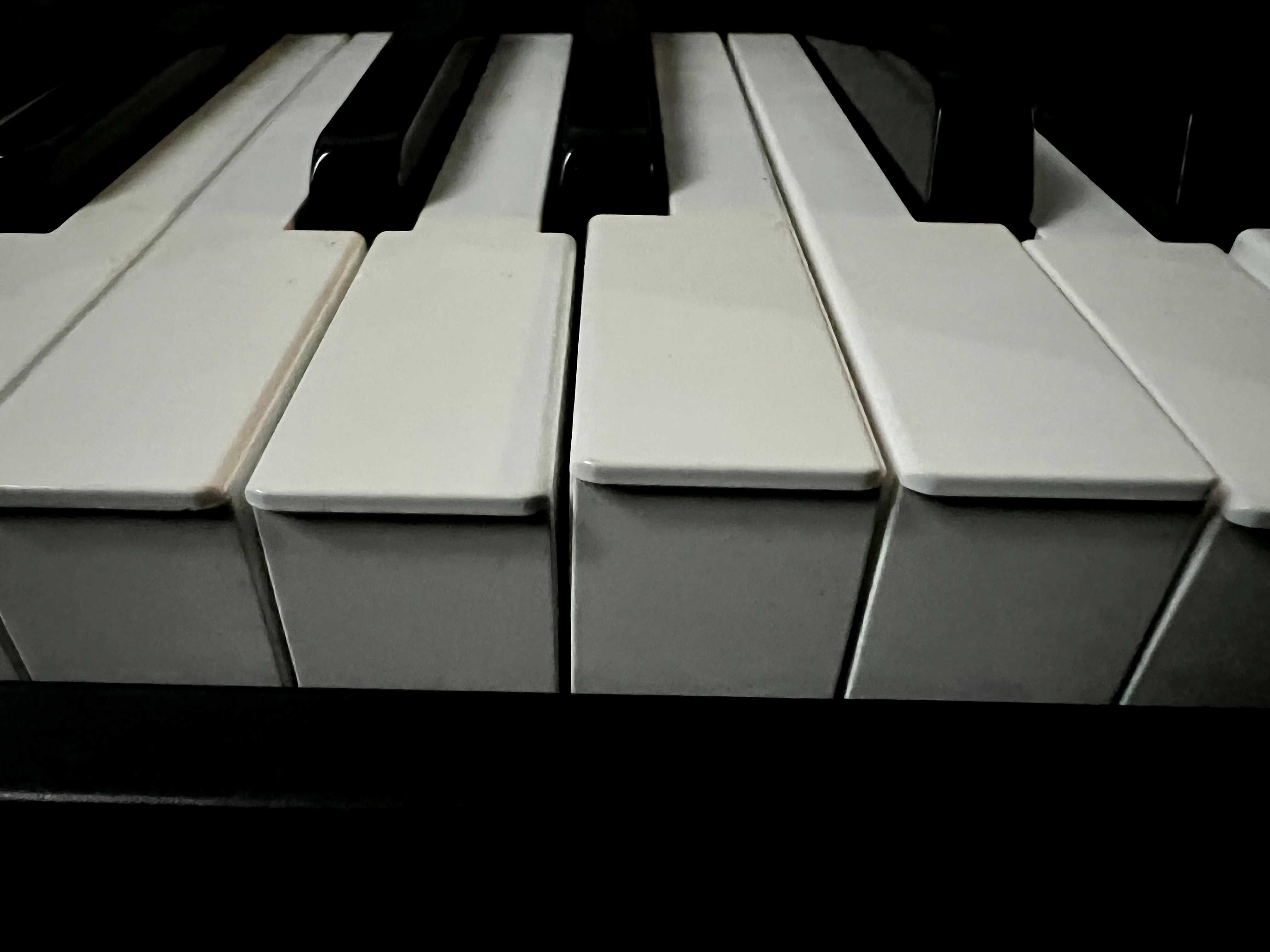 OKAZJA: Pianino CASIO CDP-220RBK z pokrowcem