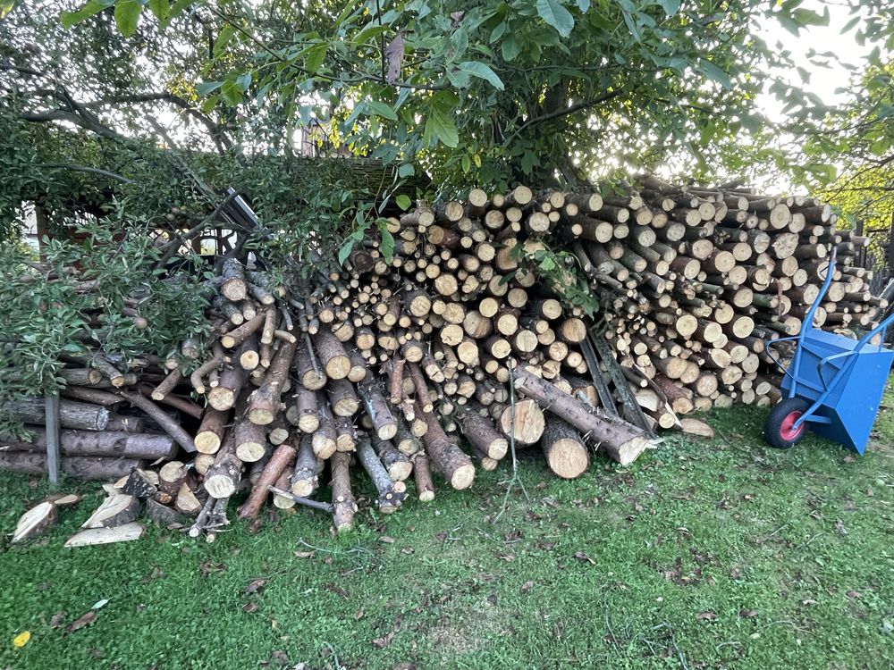 Drewno opałowe sosna 10mp