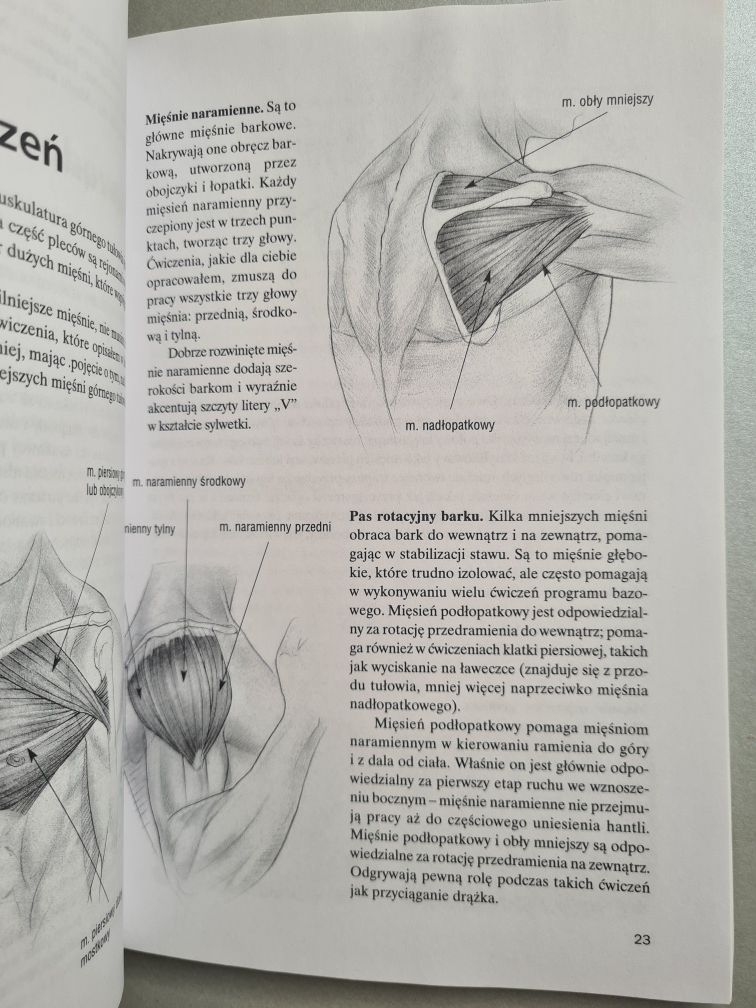 Klatka piersiowa i barki - Kurt Brungardt. Książka