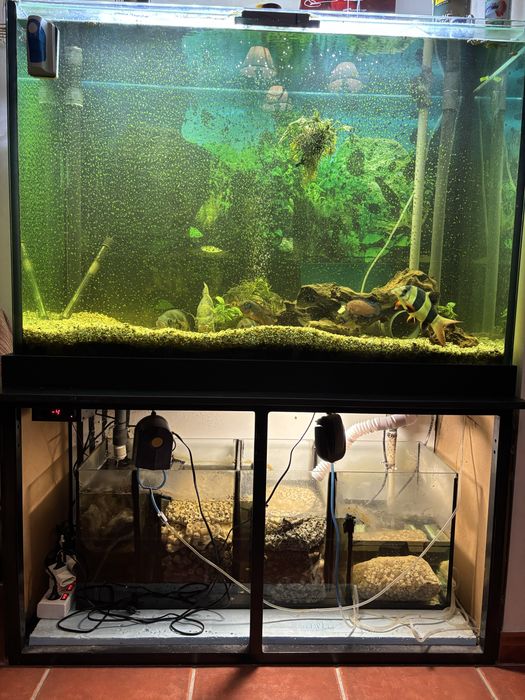 Aquário com movél completo