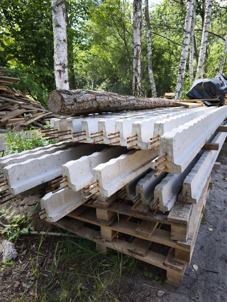 Belka stropowa strunobetonowa RECTOR RS 136S dł. 6,8m