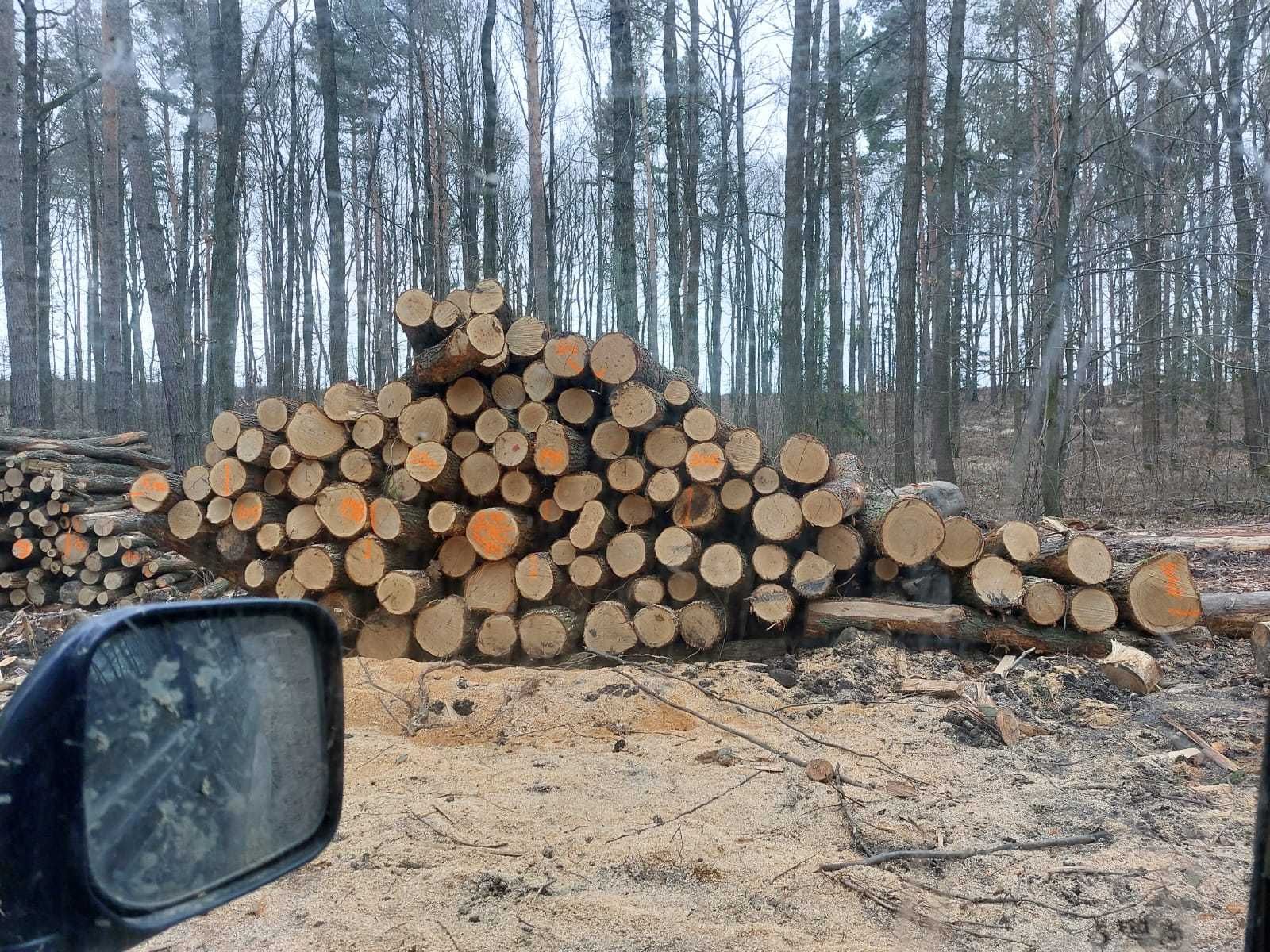 Drewno opałowe i kominkowe!!!