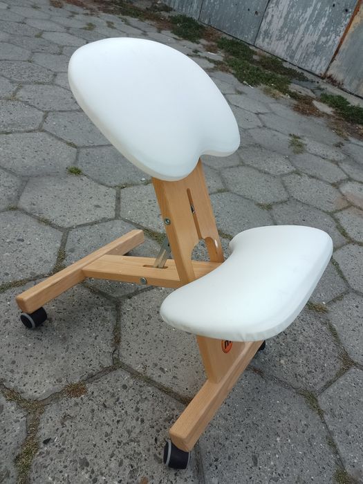 Krzesło Ergonomiczne