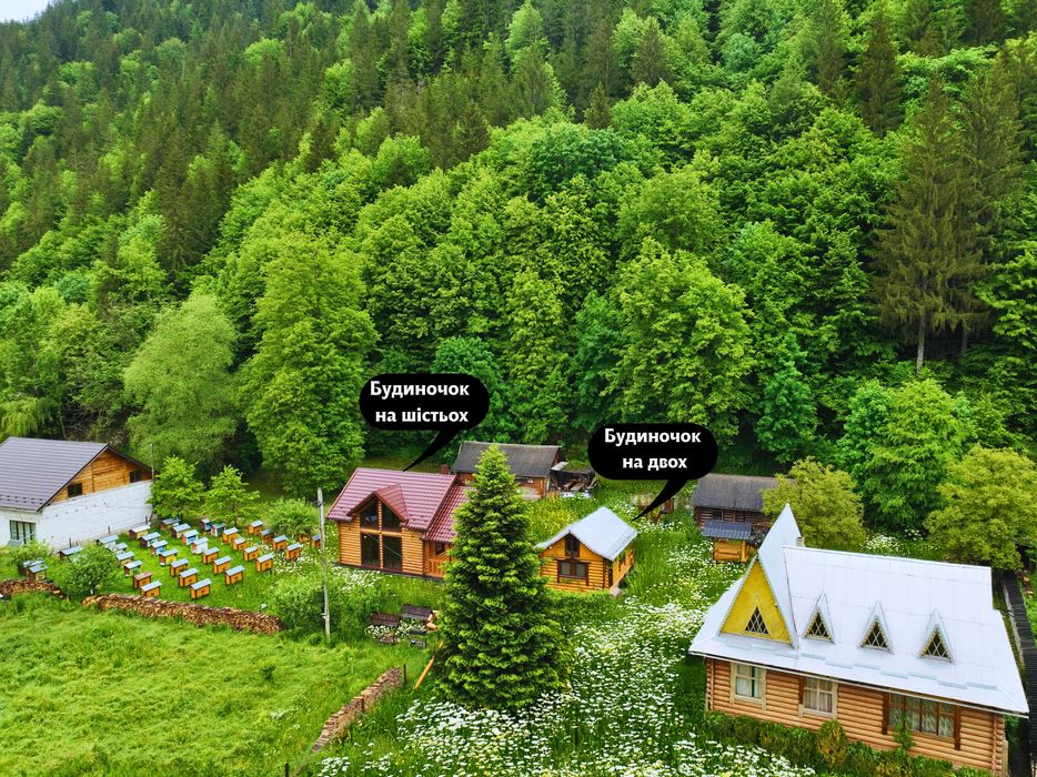 Здам подобово два дерев'яні будинки в Карпатах: Маєток  «LINDEN GROVE»