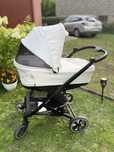 Skiddou Moss 2w1