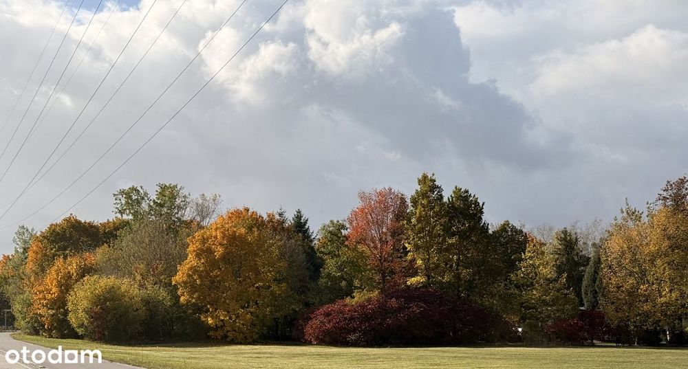 urokliwa działka na sprzedaż, Zawodne gmina Prażmów