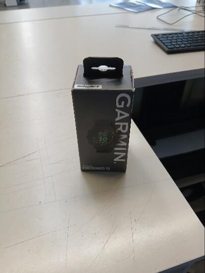 Smartwatch GPS Garmin Forerunner 55 Preto