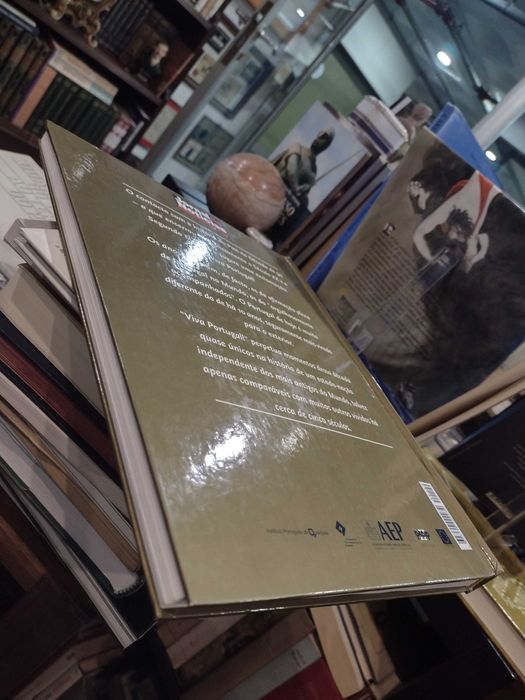 Década Dourada Viva Portugal 1990/1999