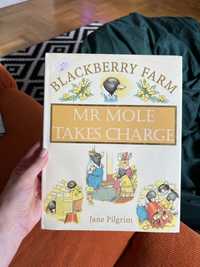 Books for children, blackberry farm Książki w języku angielskim