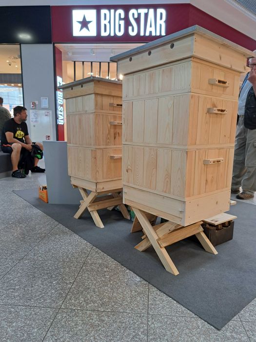 pszczoły ul Wielkopolski ul początkowy korpus dennica ule startowe