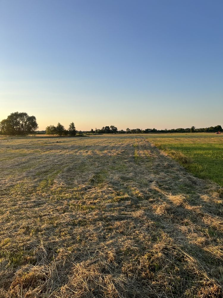 Sprzedam dzialki rolne 9300 m2 w miejscowosci Trzcinka