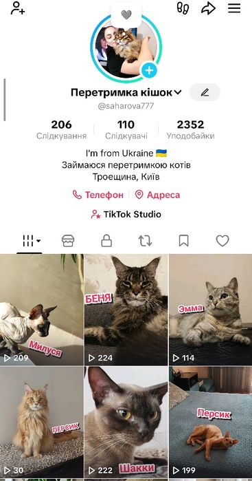 Передержка котиков, кошек. 300грн/сутки Смотрите тик ток saharova777