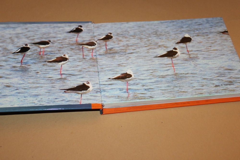 Áreas Protegidas Em Zonas Húmidas/João C. Farinha