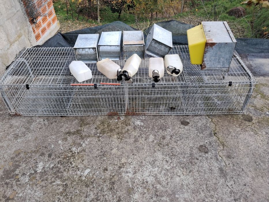 Gaiola para coelhos