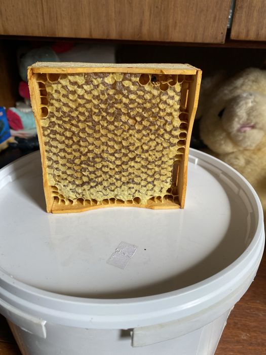 Крем Мед зі смаками сублімованих фруктів та сотовий мед