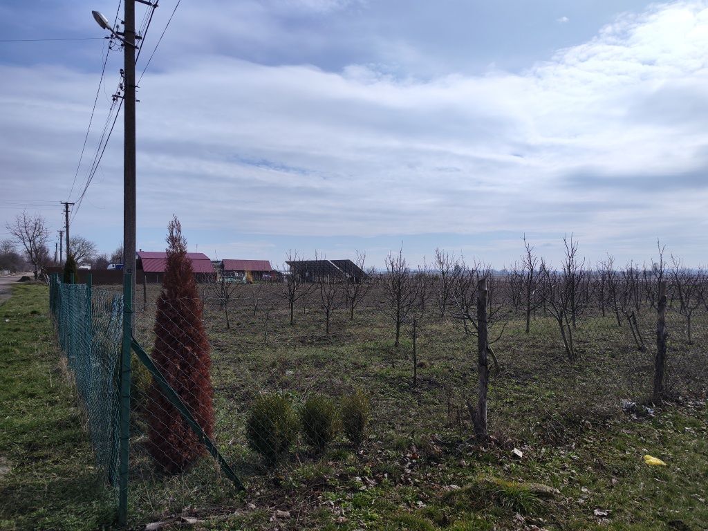 Земельна ділянка (огорожа, сад)