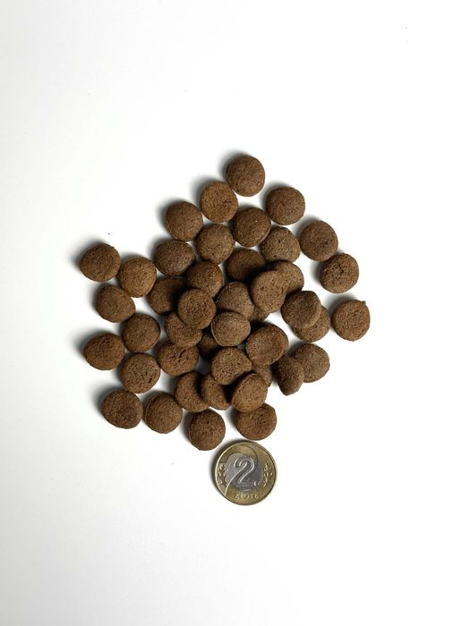 Syta micha Karma sucha dla dorosłego psa Dziczyzna 1,5kg