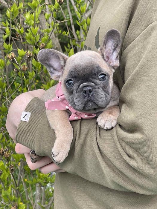 Красоточка'.  ДІвчинка