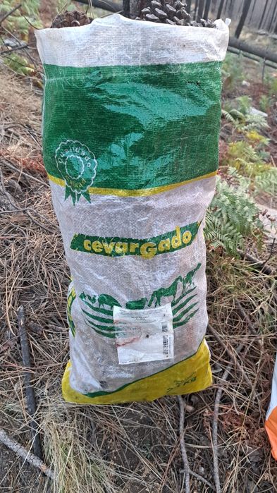 Vendo Saco de pinhas