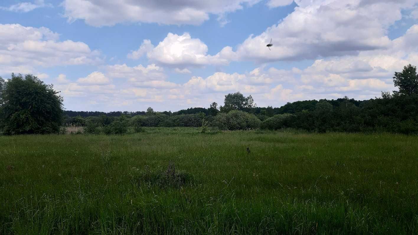 Земельні ділянки заг. пл. 4,0000 га під ОСГ Головурівський с/о