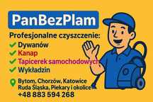 Profesjonalne Pranie Tapicerki Meblowej i Samochodowej Zapraszam !