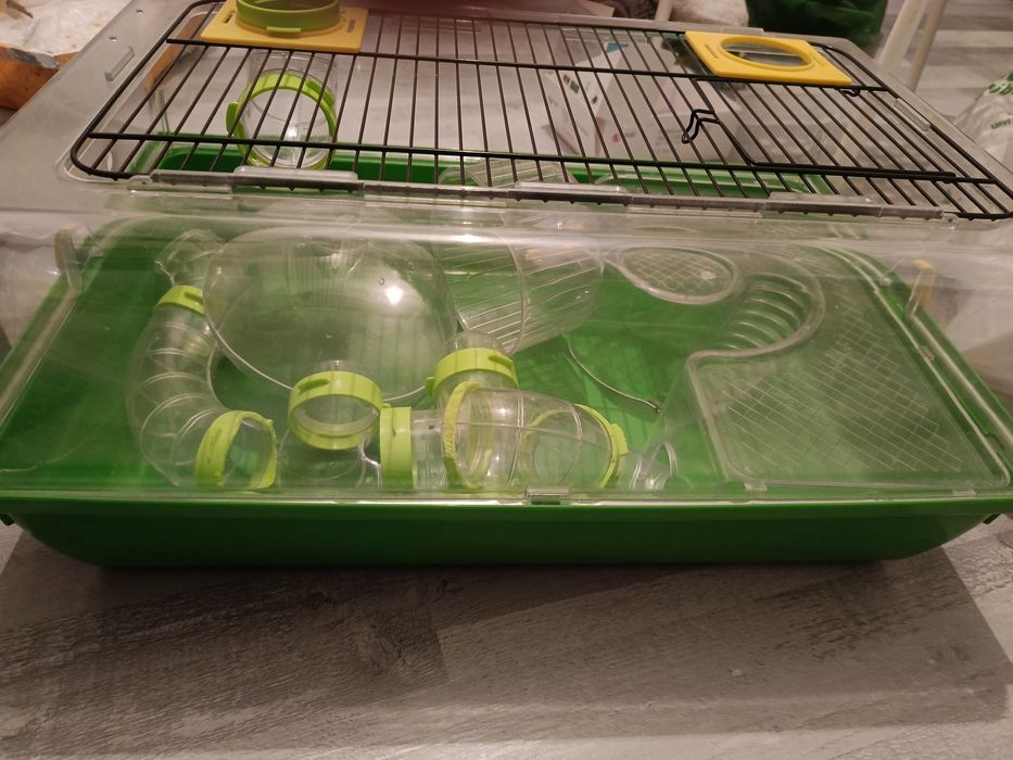 Terrarium do gryzonia